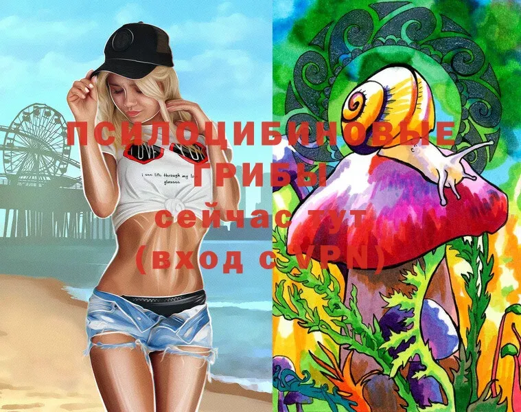 магазин    Тосно  hydra ONION  Галлюциногенные грибы Psilocybe 